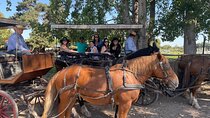  Colchagua Valley Private Tour: Montes + Clos Apalta