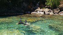 ST. Lucia Snorkeling and Sightseeing Adventure Coastal Beauty