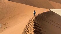 5 Days Desert to Coast Adventure Sossusvlei and Swakopmund