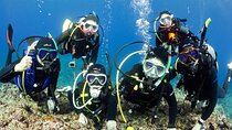 Diving in Kansai, Japan for License Holders