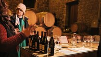 Rioja from San Sebastian Small Group Tour (up to 6 guests)