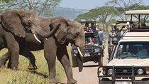 Six Day Kenya and Tanzania Masai Mara Serengeti Ngorongoro Tour