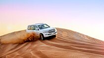 Unforgettable Desert Safari Dubai Adventure, BBQ & Live Shows