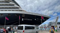 Private Transfer From Cruise Ships To Auckland CBD Hotels