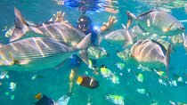 Snorkeling at Los Arcos 5 islands Hidden Beach and Cliff Jumping