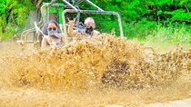 Jungle Buggy Adventure with Coffee and Chocolate Tasting