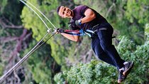  Zipline, Water slide , Horseback, Hot Springs | Most Popular