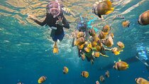 Bali Blue Lagoon Snorkling , Waterfalls