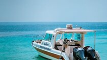 Snorkeling Trip To Daymaniyat Island