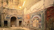 Exclusive Herculaneum tour with Expert!