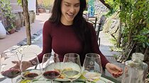 Pompeii, Vesuvius & Wine Tasting Private day Tour