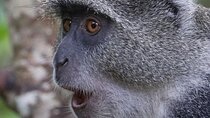 unforgettable Zanzibar experience for REGENT SEVEN SEAS CRUISES