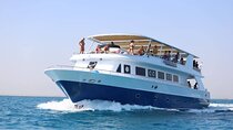 Ain Sokhna Day Trip On Yacht From Cairo