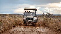 2-Day Inverdoorn Game Reserve Luxury Big Five Safari