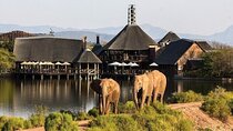3-Day Cape Agulhas Tour and Wildlife Safari