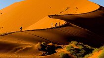 3-Day Sossuvlei Dunnes Safari Tour in Namibia 