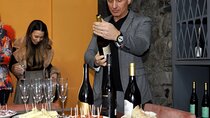Douro Valley and Green Wine with Tastings, Chef Lunch and Boat