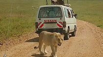 3 Days Maasai Mara Safari