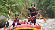 Ubud Private White Water Rafting in Bali with Lunch