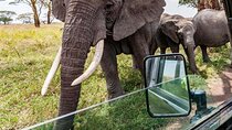 7 Days Journey Through Kenya an Epic Luxury Safari