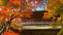 Shiga Autumn Experience Shopping and Ropeway Bus Tour from Kyoto