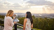 Brisbane Bus Tour: City & River Views