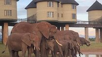 2 Day Safari in Taita Hills from Nairobi