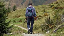 1 Day Parnitha Athens Private Hiking Tour with Hotel Pickup