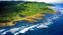 5-Day Corcovado National Park Tour with a Renowned Biologist