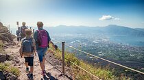 Pompeii & Vesuvius: History, Wine & Lunch by the Volcano