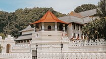 Best of Sri Lanka 10 Days All Inclusive Luxury Private Tour 