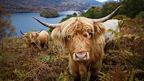 Private Tour of Loch Ness, Glencoe and Highlands from Edinburgh