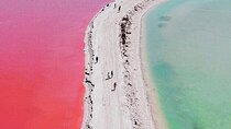 Las coloradas and río lagartos, a daily scape to paradise