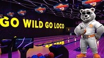 Loco Bear Entertainment Hub