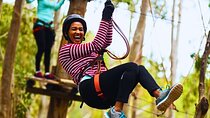Top Rated Atlas Mountains Zipline from Marrakesh