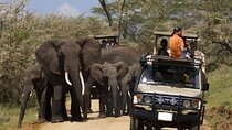 Amboseli National Park Guided Full Day Tour