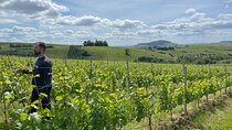 Private Beaujolais wine tour 