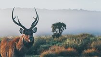 Sri Lanka Natural Explorer 14 Days All Inclusive Tour