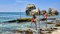 Galle Day Tour with Train Ride from Colombo or Negombo