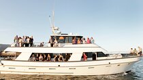 Whale and Wildlife Yacht Cruise in Santa Barbara
