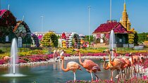 Dubai Miracle Garden&Global Village-Private Transfer-Entry Ticket