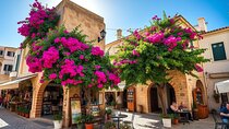 Paphos Half Day Tour Bus Pick Up from Hotels