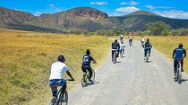 Hell's Gate and Lake Naivasha Guided Day Tour 