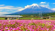 Mt. Fuji to Lake Kawaguchi, Lake Yamanaka and Onsen Day Tour