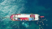  Side Pirates Tour: A Fun-Filled Adventure for Kids!