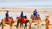 Camel Tour : 2 hours camel ride in Agadir