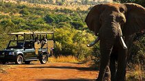 Johannesburg 2 Day Full-day Experience with Pilanesberg Safari