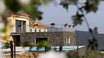 Douro Tour from Porto Wine Lunch Boat and Train