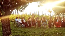 Small Group Minardi Winery Tour