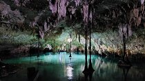 Private Tour to Tulum Cenotes Sac Actun 